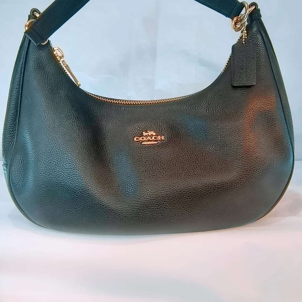 COACH 2017 Black Pebbled‎ Leather Harley Hobo Bag, F38250